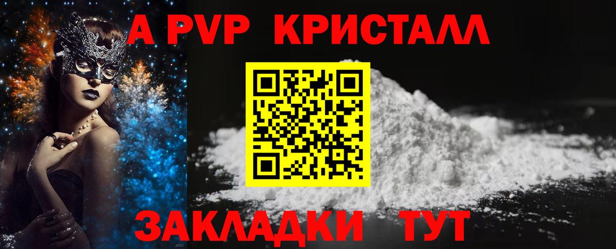 A PVP СК КРИС Кингисепп