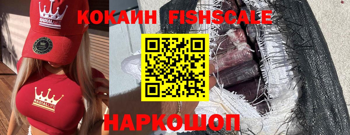 КОКАИН Эквадор Кингисепп