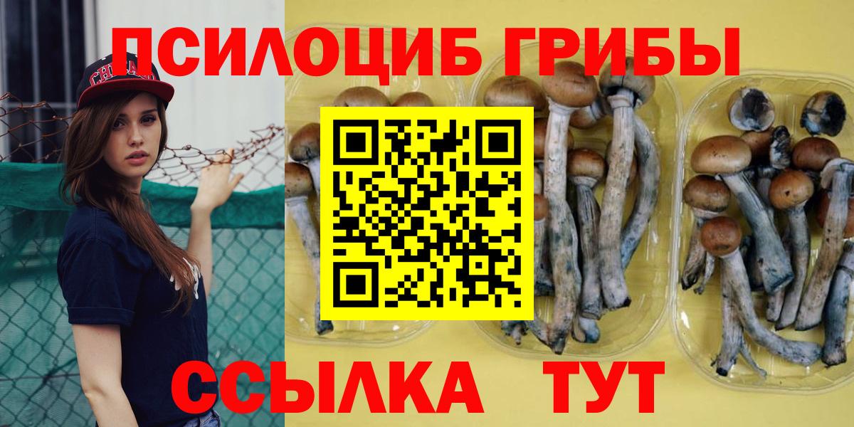 Псилоцибиновые грибы MAGIC MUSHROOMS  Вход с VPN  Кингисепп  Псилоцибиновые грибы прущие грибы 
